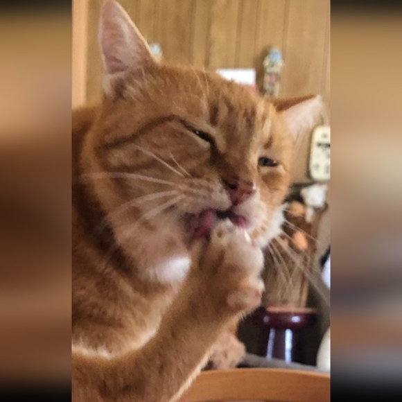 MELODY'S LIVE SHOW HOST LISTING - Picture 11 of 15